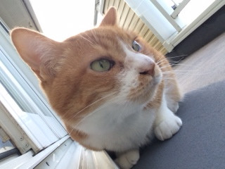 茶太郎写真日記
